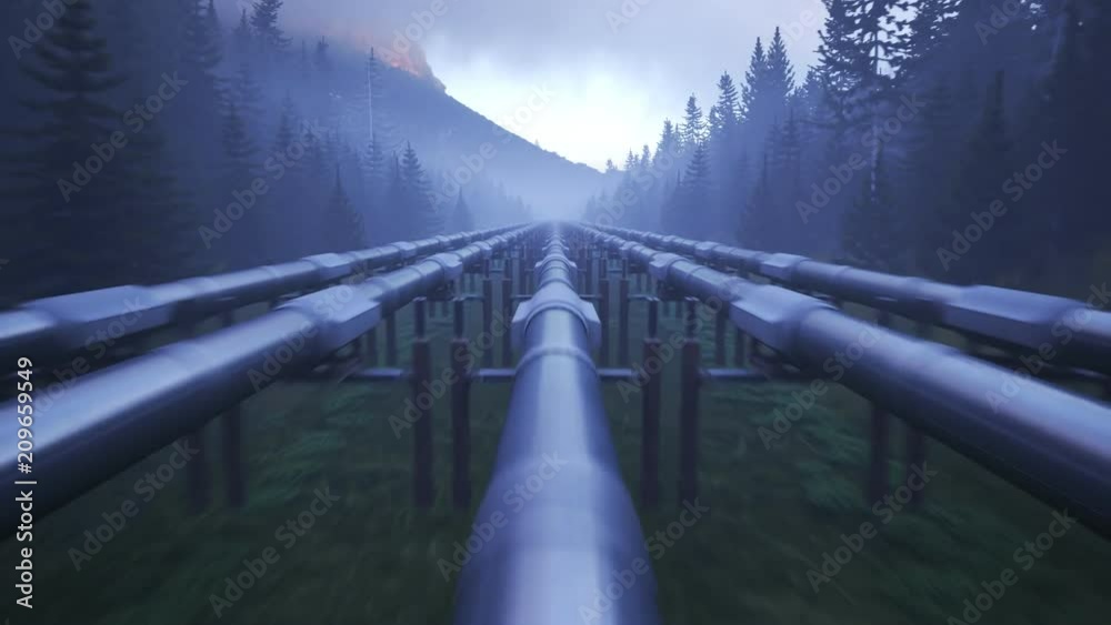 A pipeline running through forest clearance transport fuel over long distances.