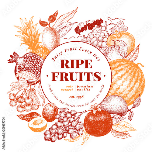 Fruits and berries hand drawn vector illustration. Retro engraved style frame design. Can be use for menu, label, packaging, farm market products.