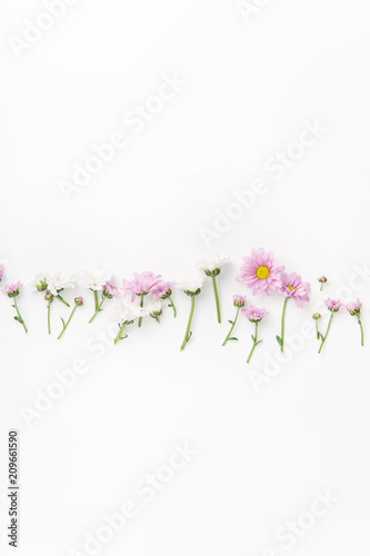 Flatlay with flowers and blossoms arranged on white background. Top view  copy space  botanical concept..