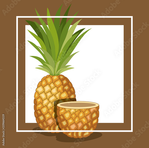 fresh pineapple fruit tropical vector illustration design