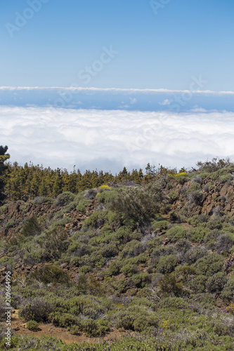El Teide National Park © Aliaksei