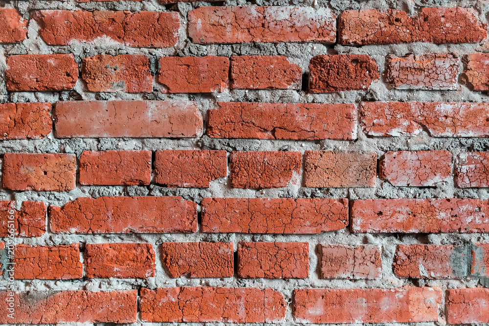 Fototapeta premium brick wall texture