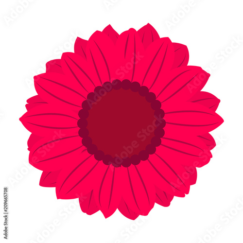 vector illustration of isolated blooming