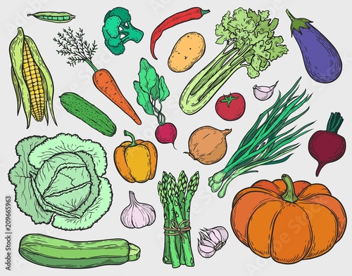 vegetables set