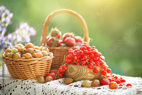 Fototapeta Naklejka Na Ścianę i Meble -  Ripe berries - red currants, strawberries, gooseberries on a wooden table in the summer garden. Harvest. Summer still life.