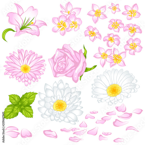 Fototapeta Naklejka Na Ścianę i Meble -  Vector illustration of a set of different flowers. Design for stickers and icons. Objects isolated on white background.