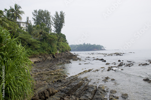 The landscape the island of the Andaman Sea in India protected with tropical plants 