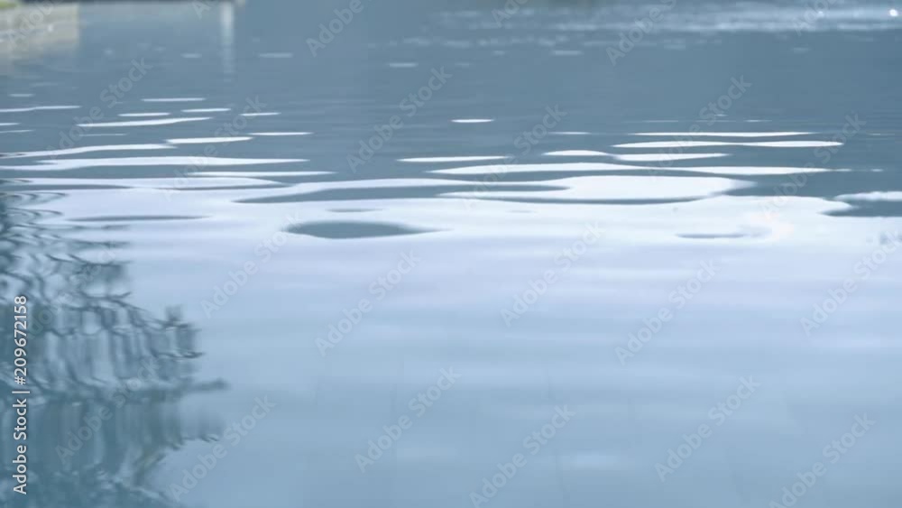 water dolly reflection water dolly reflection