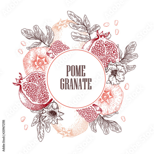 Hand drawn pomegranate composition. Vector engraved illustration. Juicy natural fruit. Food healthy ingredient. For cooking, cosmetic package design, medicinal herb, treating, healt care.