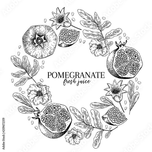 Hand drawn pomegranate composition. Vector engraved illustration. Juicy natural fruit. Food healthy ingredient. For cooking, cosmetic package design, medicinal herb, treating, healt care.