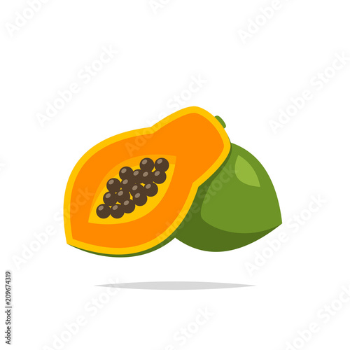Papaya icon vector isolated illustration