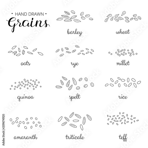Hand drawn outline cereal grains set.