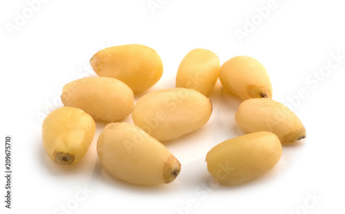 Cedar Pine nuts on a white background