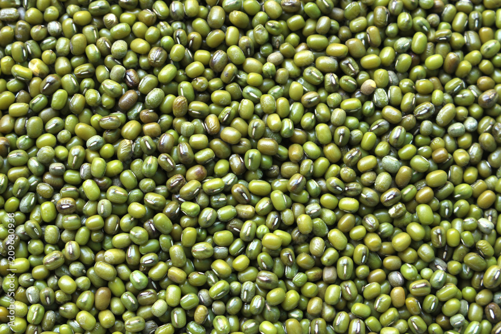 green bean seed background