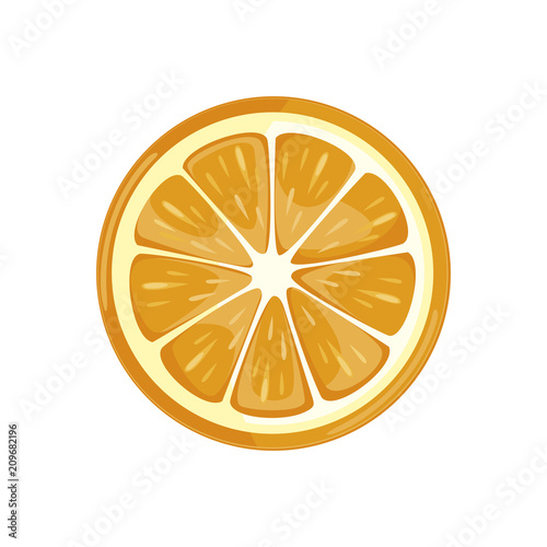 orange slice. juicy fresh fruit on a white background. vector 