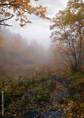 Footpath in misty valley in autumn. Taganay National Park. Ural  Russia