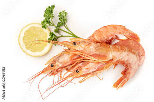 Overhead photo of raw shrimps on white, with parsley and a lemon slice, with copy space