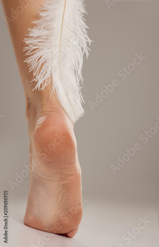 well-nourished woman leg and a white feather on a gray background