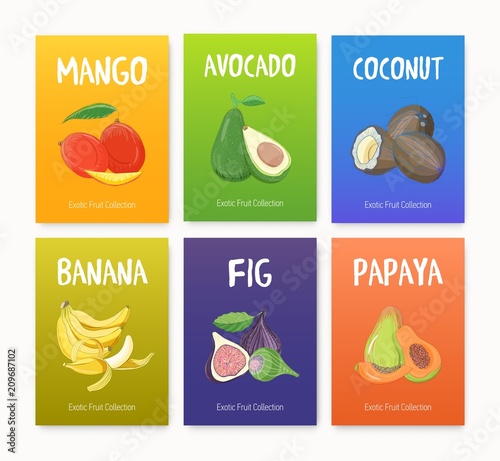 Collection of bright colored cards with delicious ripe juicy exotic tropical fruits, whole and cut into slices - mango, avocado, fig, banana, coconut, papaya. Hand drawn realistic vector illustration.