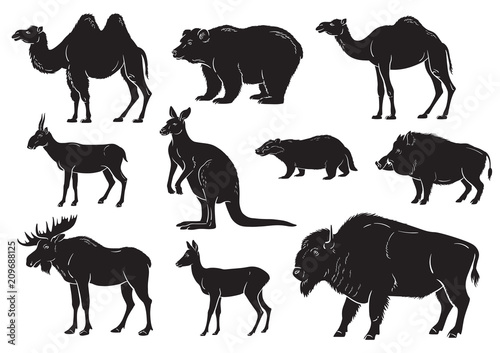 collection of wild animals on white background vector illustration