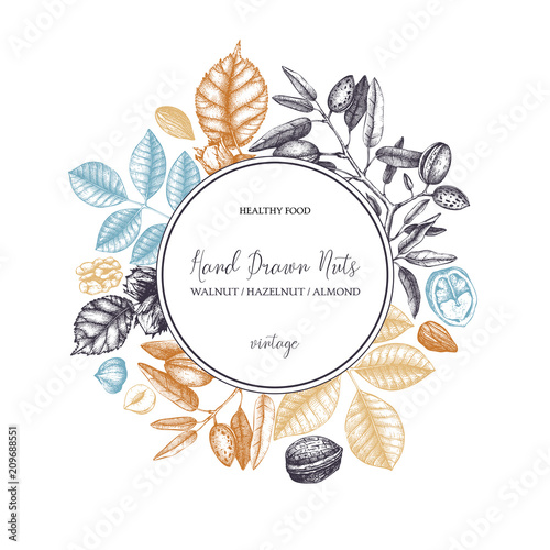 Vector design with hand drawn nuts sketches. Vintage hazelnut, walnut, almond illustrations. Organic food template for menu, packing, branding, card designs on white background.