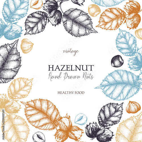 Vintage design with hand drawn hazelnut. Vector nut sketch. Organic food template on white background.