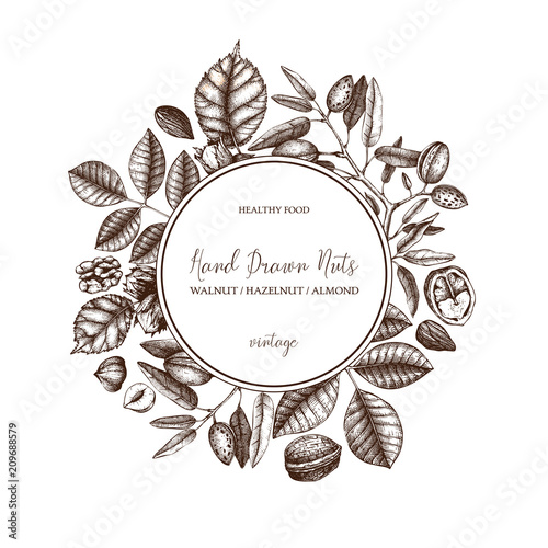 Vector design with hand drawn nuts sketches. Vintage hazelnut, walnut, almond illustrations. Organic food template for menu, packing, branding, card designs on white background.