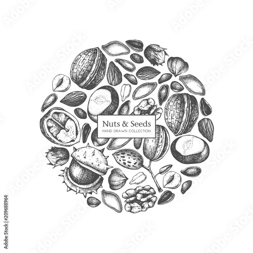 Vector design with hand drawn nuts and seeds sketches. Hazelnut, walnut, pine nut, chestnut, sunflower, flax and pimpkin seeds drawing. Organic food template.