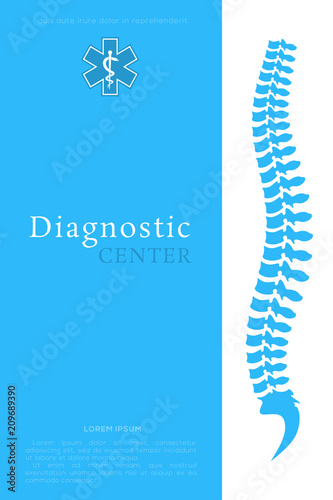 Vertebral Column. All Vertebrae Cervical Thoracic Lumbar Sacral and Coccygeal. Human Body Anatomy