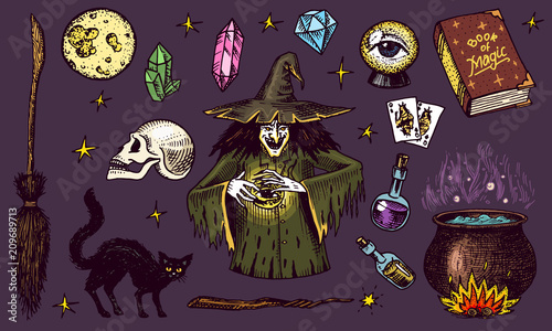 Halloween elements. Magic ball, witch with book of spells, cursed black cat, beldam and sorcery, hag or hex, potion and cauldron, skull and fortune-telling cards. Hand drawn engraved vintage sketch.