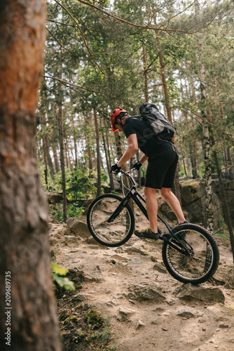 athletic young trial biker riding at pine forest