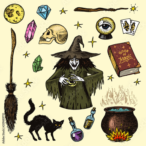 Halloween elements. Magic ball, witch with book of spells, cursed black cat, beldam and sorcery, hag or hex, potion and cauldron, skull and fortune-telling cards. Hand drawn engraved vintage sketch.