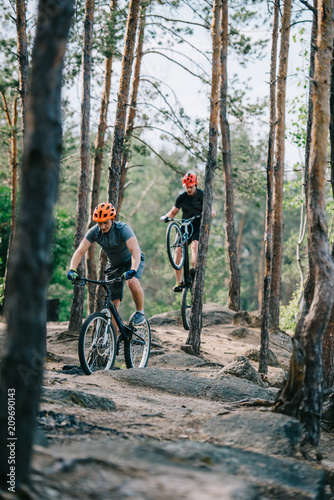 Active young trial bikers riding at beautiful pine forest © LIGHTFIELD STUDIOS