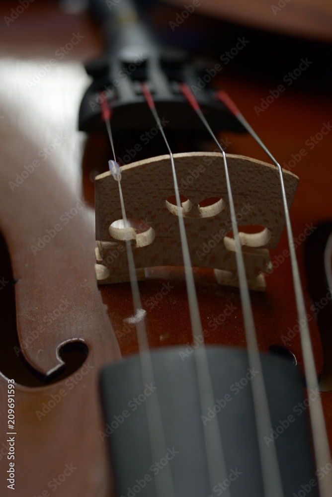 the classic violin bowed instrument the classic violin bowed instrument