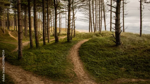 Obraz las i ścieżki przybrzeżne w Walii