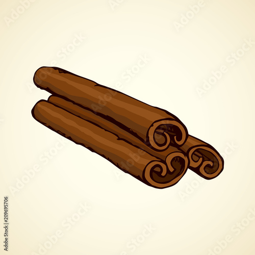 Cinnamon. Vector drawing