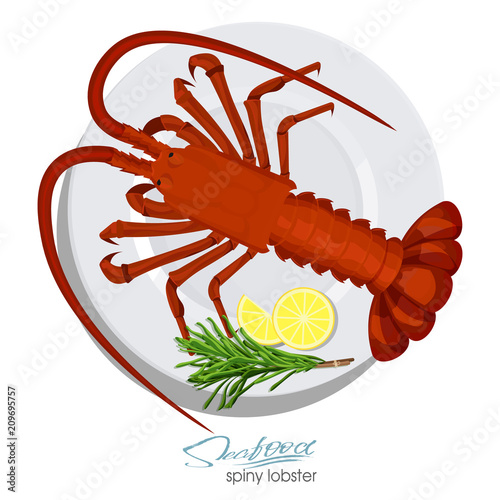 Spiny lobster with rosemary and lemon on the plate in cartoon style. Fresh spiny lobster. Seafood product design. Inhabitant wildlife of underwater world. Edible sea food. Vector illustration