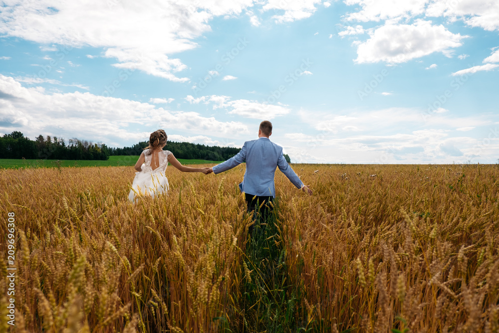 The bride and groom are walking in the wheat field. View from the back The bride and groom are walking in the wheat field. View from the back