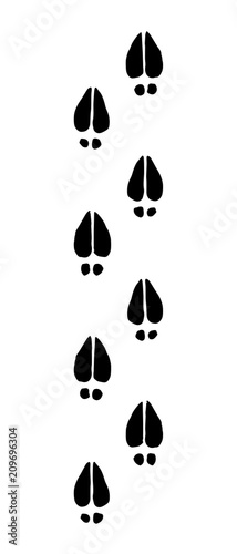 Traces of hooves. Vector drawing