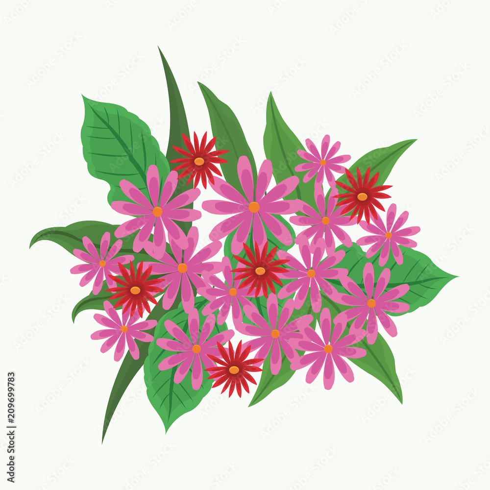 Beautiful pink flowers with leaves vector illustration graphic design