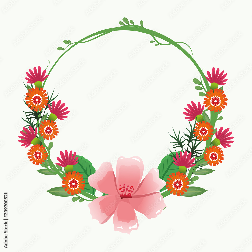 Decorative round frame pink flowers with leaves vector illustration graphic design