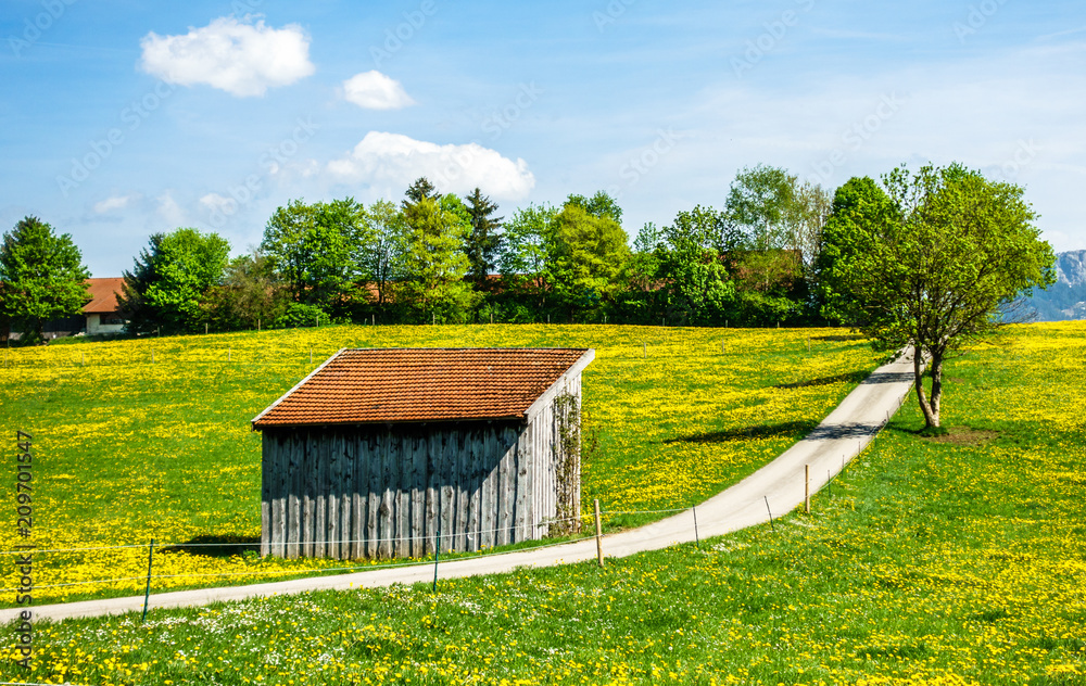 old wooden hut