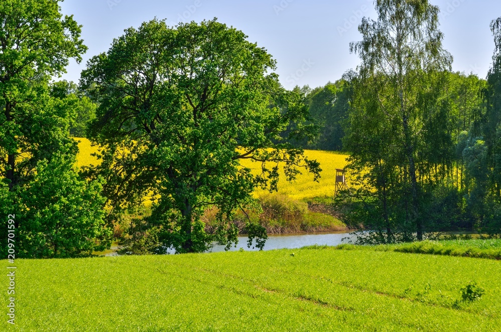 Obraz premium Beautiful spring landscape. Colorful hills above the river in the countryside.
