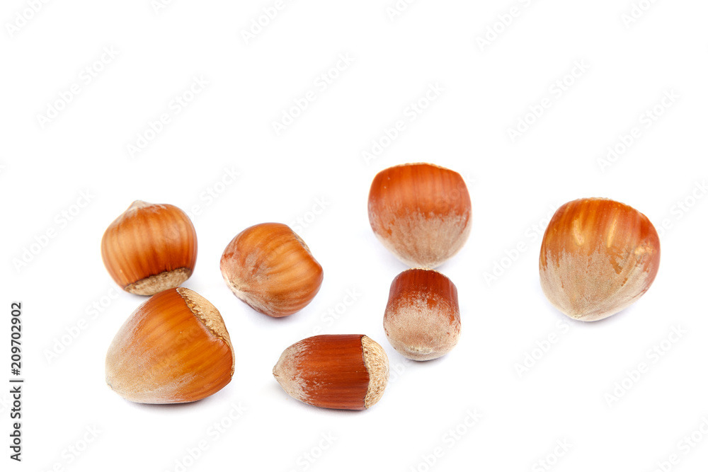 Fruits Hazelnuts isolated on a white background. Fruits Hazelnuts isolated on a white background.