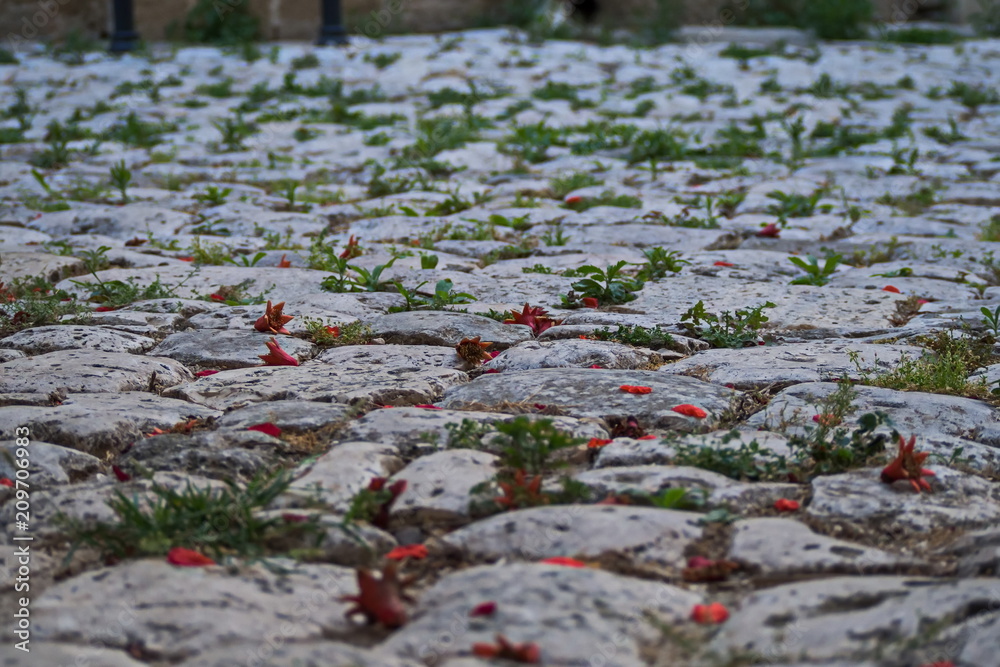 Grass and stone. Cobbled street in Otranto. Small towns of southern Italy.