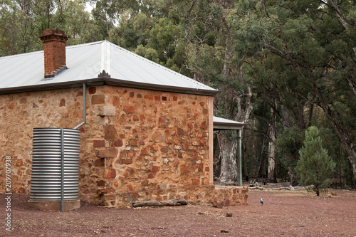 Wilpena Pound South Australia, renovated Hills homestead the original settler home with magpie on ground