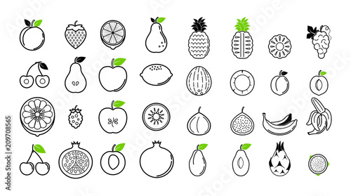 Summer tropical fruit icons for background ads and banners. Line fruit mix isolated on white background vector illustration.