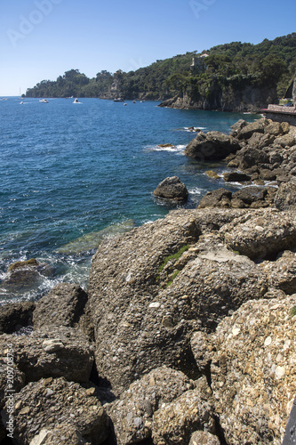 landscapes on the sea along the coast of Portofino in Genoa in Italy photo