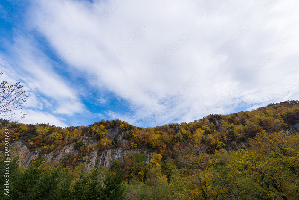 層雲峡　紅葉