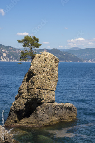 landscapes on the sea along the coast of Portofino in Genoa in Italy photo